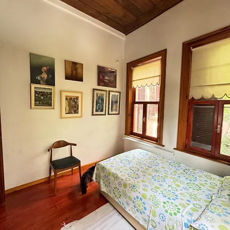 Spacious Traditional Iconic Greek House Apartment