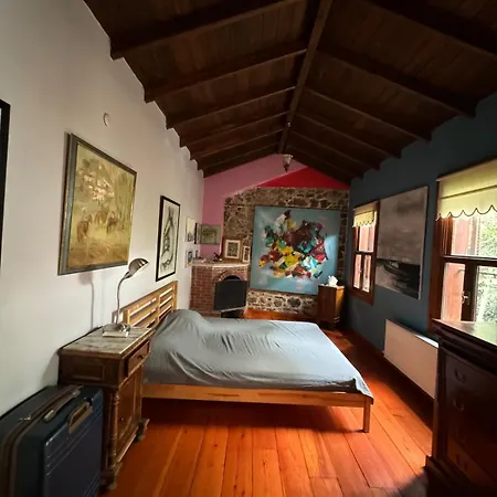 Spacious Traditional Iconic Greek House Izmir